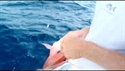 Outfitter Video