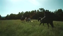 Outfitter Video