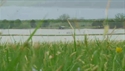 Outfitter Video