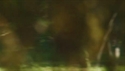 Outfitter Video