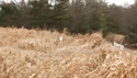Outfitter Video
