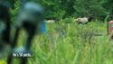 http://media.outdoorchannel.com/outdoorchannel/178/8/BoneCollector_50318_KentuckyElk_125x71_2333092680_125x71.jpg