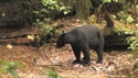 http://media.outdoorchannel.com/outdoorchannel/18/374/CraigMorganAllAccess_GMA2010_BestBigGame_125x71_2165784253_125x71.jpg