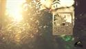 http://media.outdoorchannel.com/outdoorchannel/185/932/HeartlandBowhunter_Intro_125x71_2341408037_125x71.jpg
