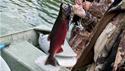 http://media.outdoorchannel.com/outdoorchannel/224/348/BEST_COMEDY_Bone_Collector_BC1202_AK_2_editedForWeb_125x71_2381675159_125x71.jpg