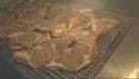 http://media.outdoorchannel.com/outdoorchannel/419/466/Buckmasters-102309_1500k_125x71_125x71.jpg