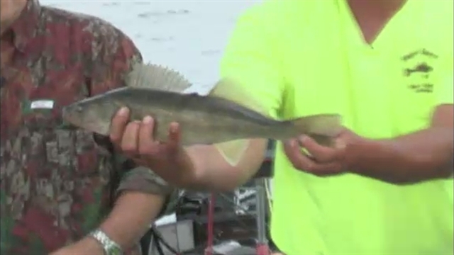 Outfitter Video