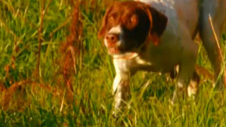 Outfitter Video