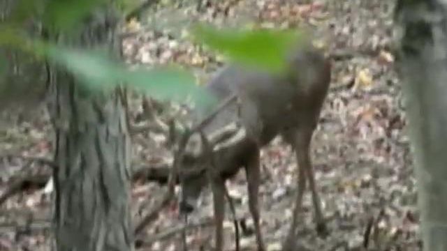 Outfitter Video