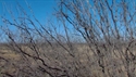 Outfitter Video