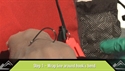 http://media.outdoorchannel.com/outdoorchannel/917/723/boonDOCS_Fishhooks_String_5_125x71_2035023906_125x71.jpg